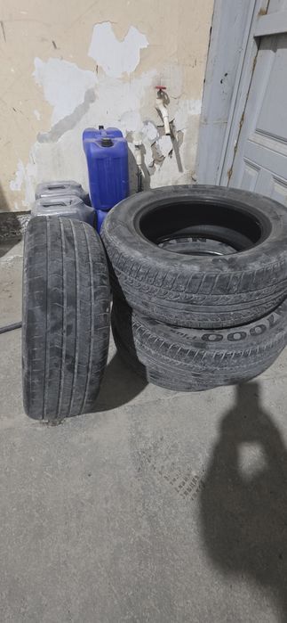 Sotiladi,  srochno ta balon, 1 ta si zerex, 3 tasi nexen