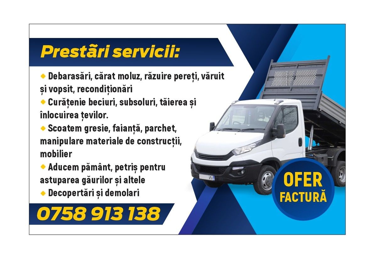 Ras pereți/moluz/demolări/ curățenie/golit subsoluri/var/vopsea