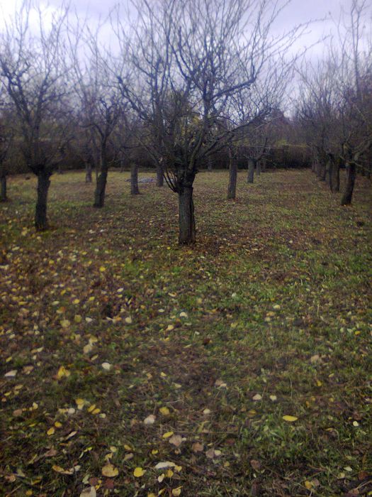 Продава се Къща в София, 7-ми 11-ти километър - 70 кв.м за 146 €/кв.м - Снимка #6