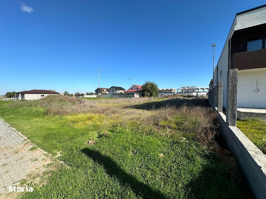 Nicolae Balcescu- 14 hectare comasate - 12.000euro hectarul
