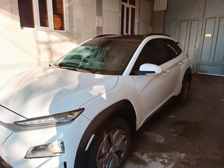 Hundai Kona electric