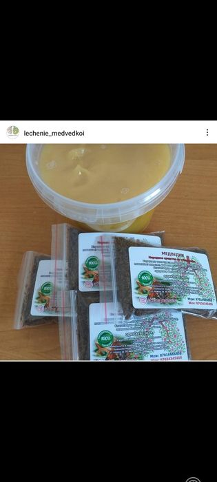 Азиатская сушёная медведка