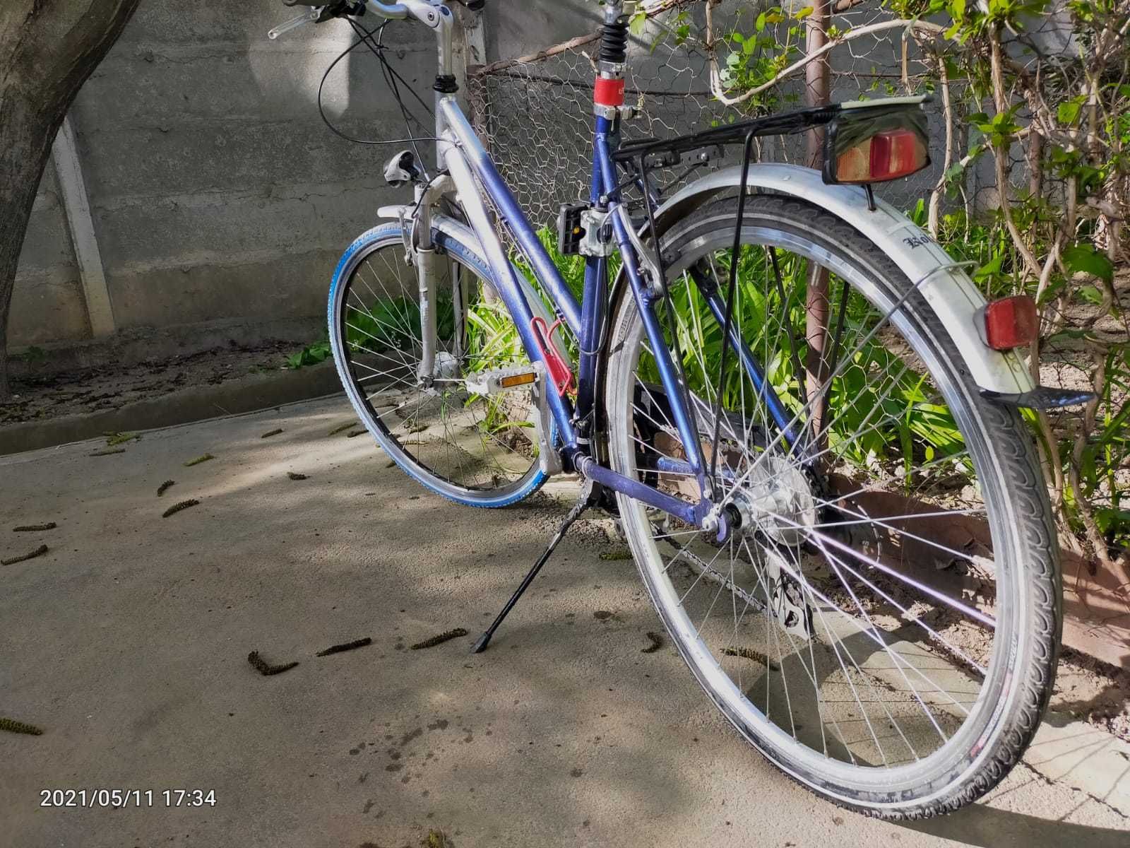Bicicleta PEGASUS