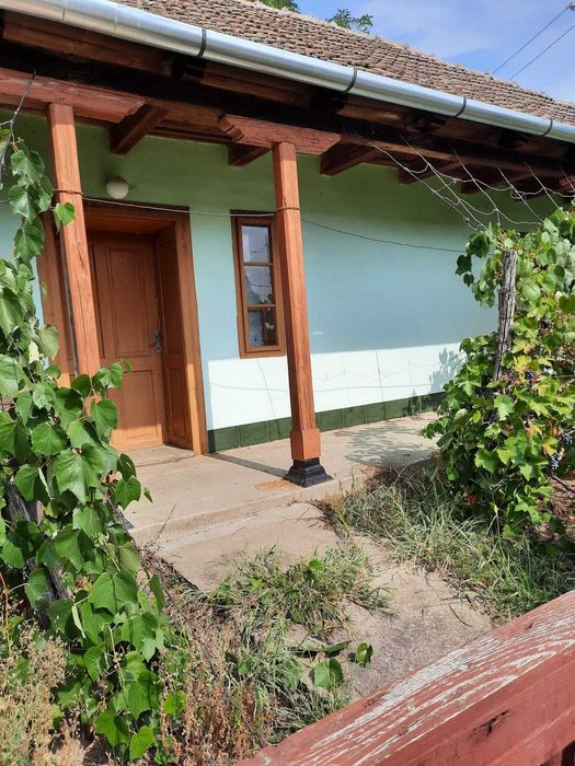 Casă spațioasă + 1 ha teren + anexe gospodărești – Dindești-Satu Mare!