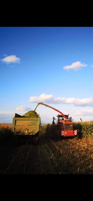 Case CHX 420 & CHX 520 3 combine de siloz, 2004, cap de iarba optional