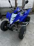 Yamaha raptor 350