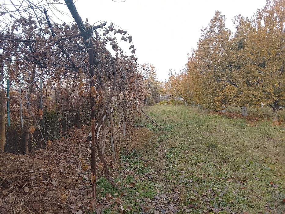 Срочна котта ховли сотилади