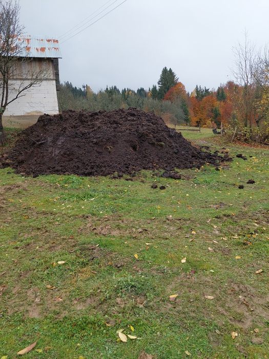 Gunoi de vacă putred