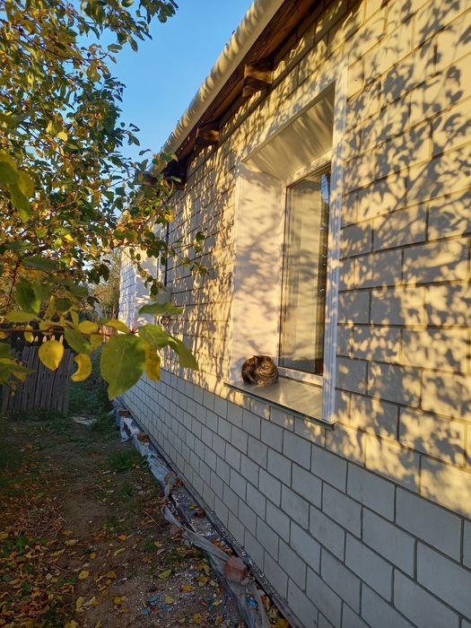 Продам дом недалеко от города Павлодара 46км по Семской трассе.