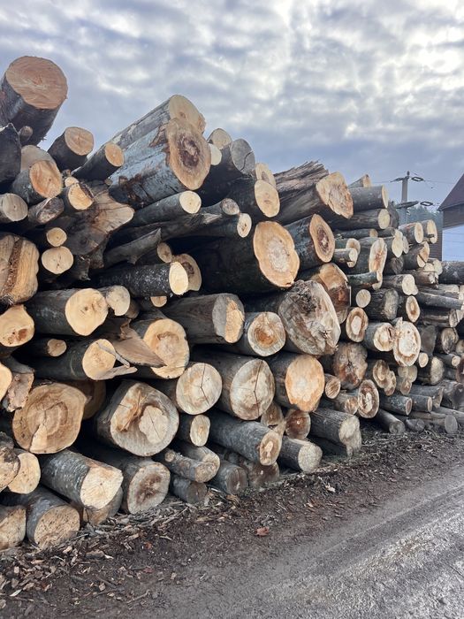 Lemn de foc fag/lemne de foc