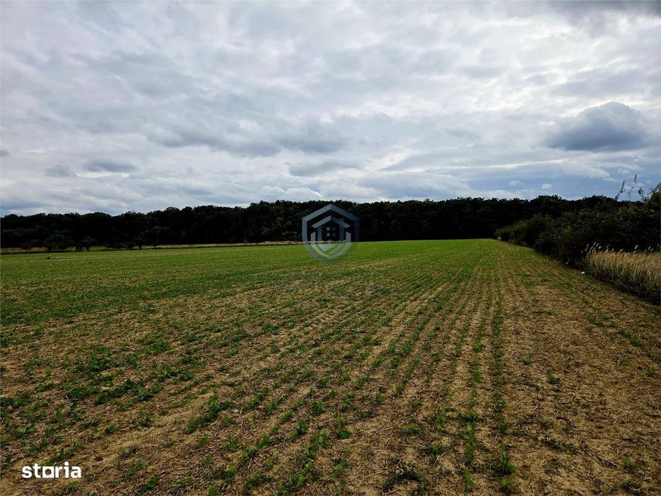 Teren extravilan, langa padure, Cartier Grigorescu,Oradea