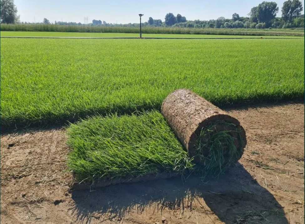 Gazon Rulou Sisteme de Irigare