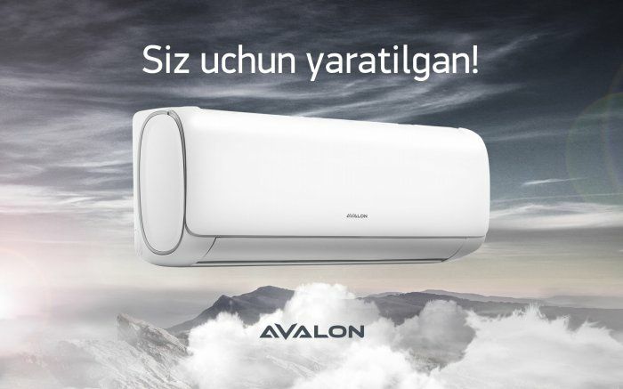Avalon invertor 12