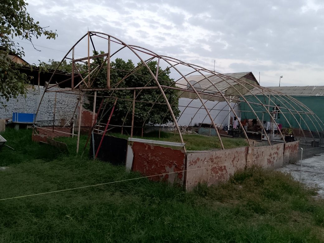 Типлиса срочна сотилади!!!