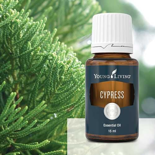 Ulei esential pur Chiparos (Cypress) - Young Living - 15 ml