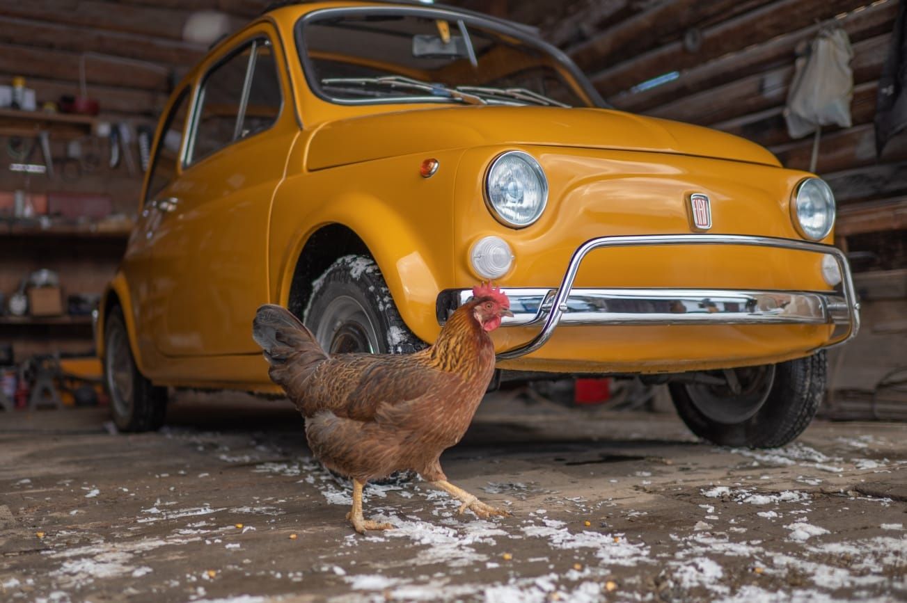 Fiat 500L 1969 Epoca/Istoric POSIBILITATE RATE/FINANȚARE P.F./P.J.