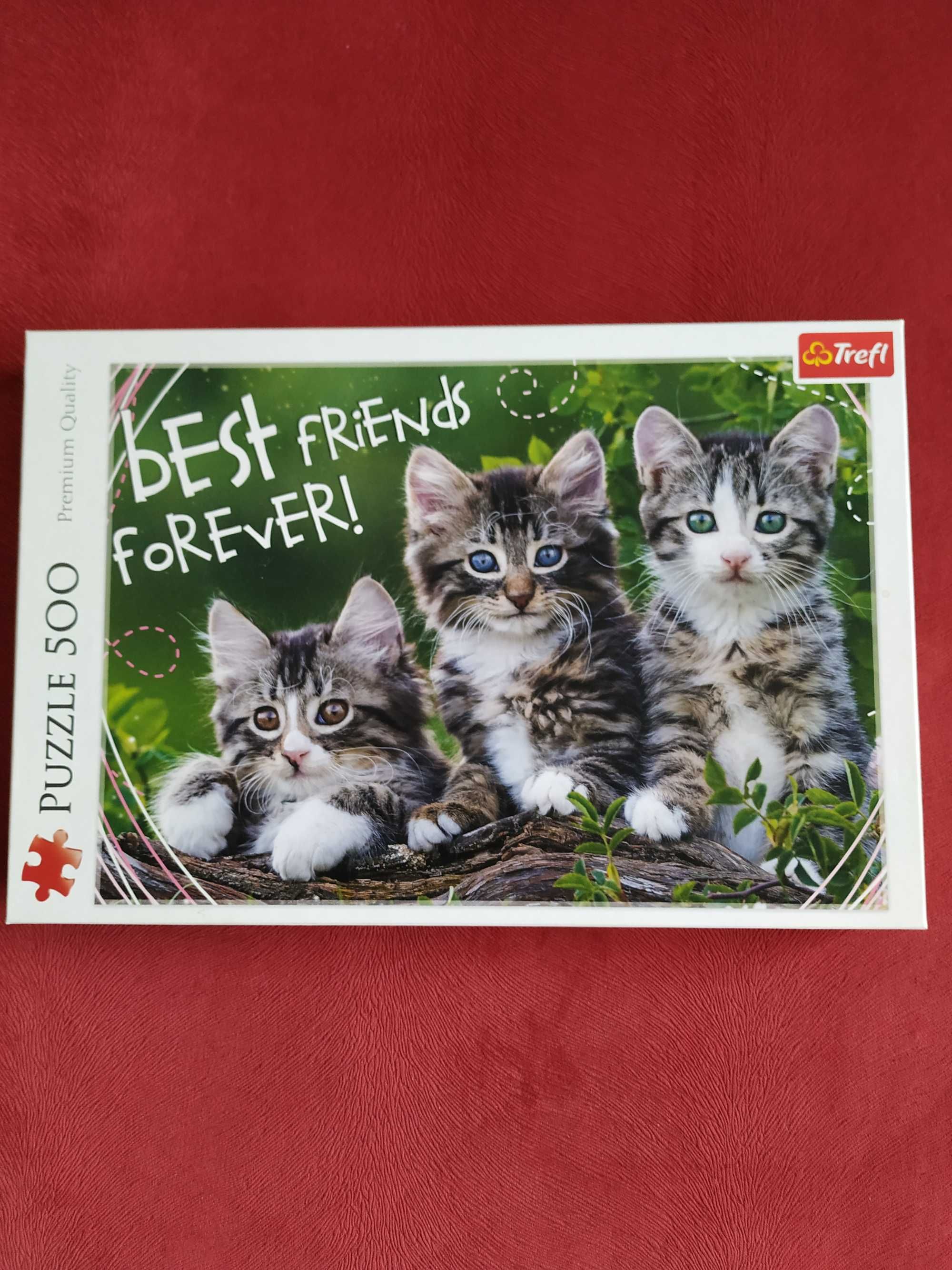 Puzzle pentru cei mici și cei mari