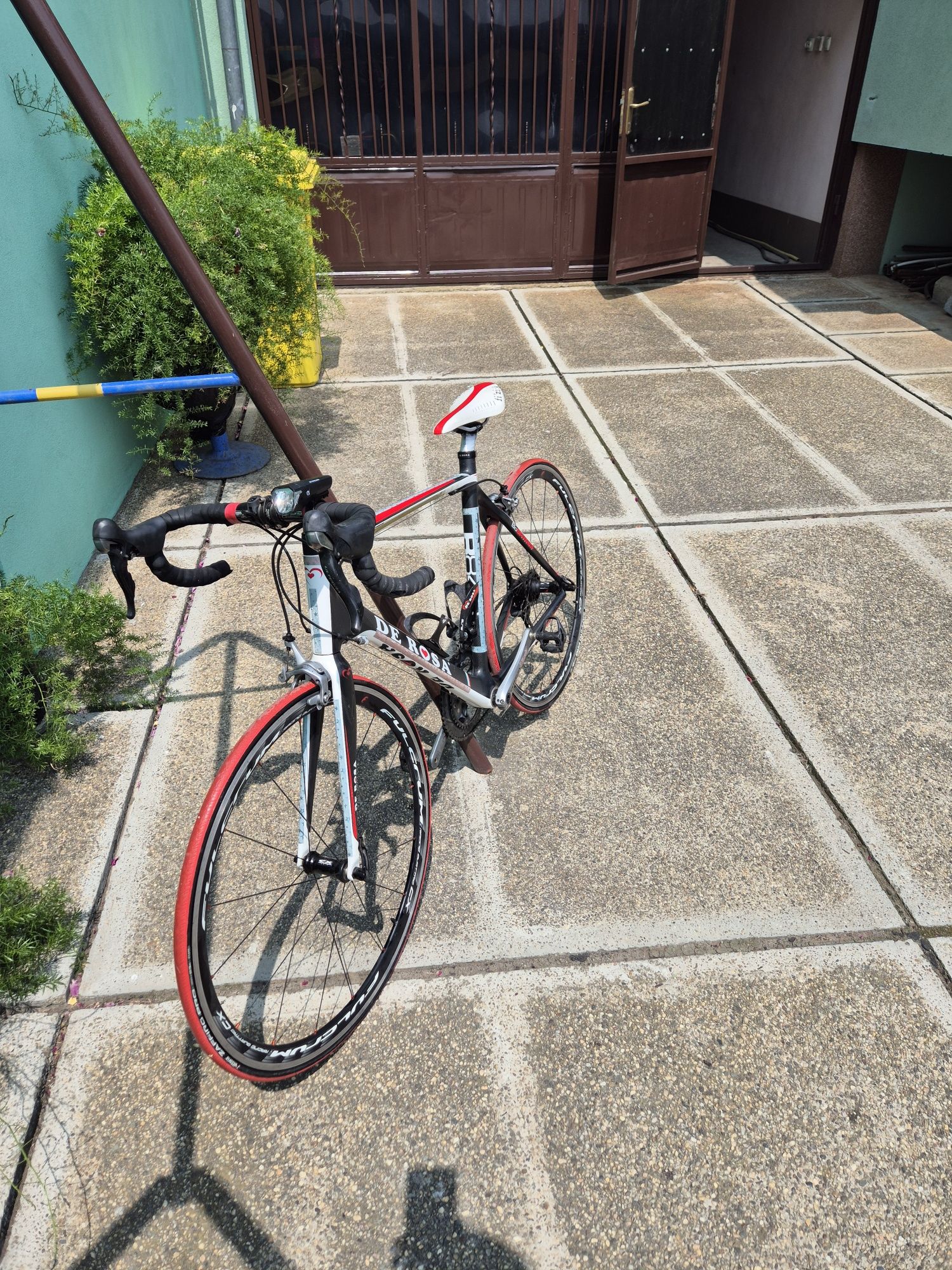 Cursiera carbon monocoque