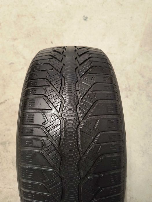 Anvelope de iarna 225/50 r17