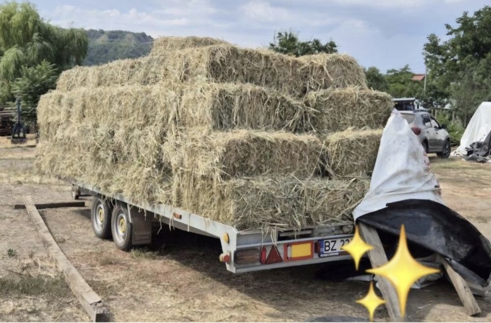 Baloti paie de grâu, de ierburi, de iarba de sudan/maturi. Producator.