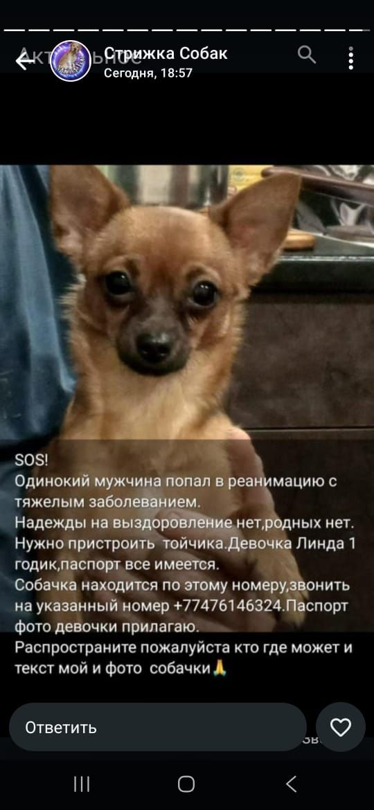 Продам диван 3.5м за 50000,,