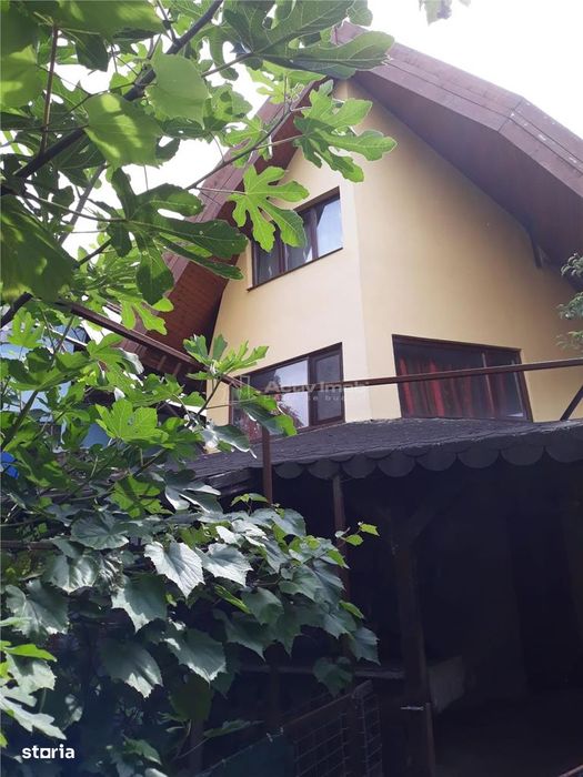 5 cam - zona 3 insule