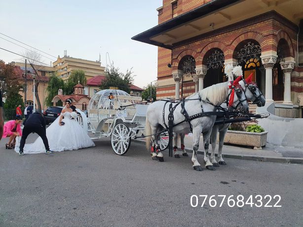 Trasura Cai Caleasca Nuntă Mireasă Botez Eveniment Foto-video