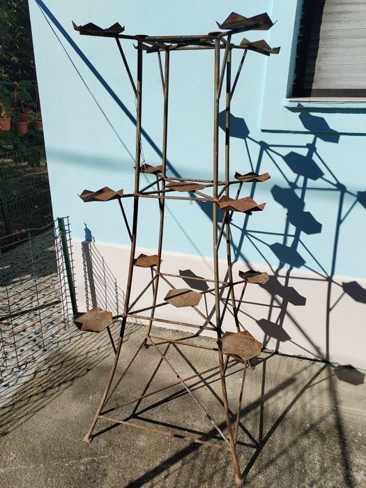 Suport Florii deosebit. Pentru cei din Timiș sau Timișoara. Nu asigur.