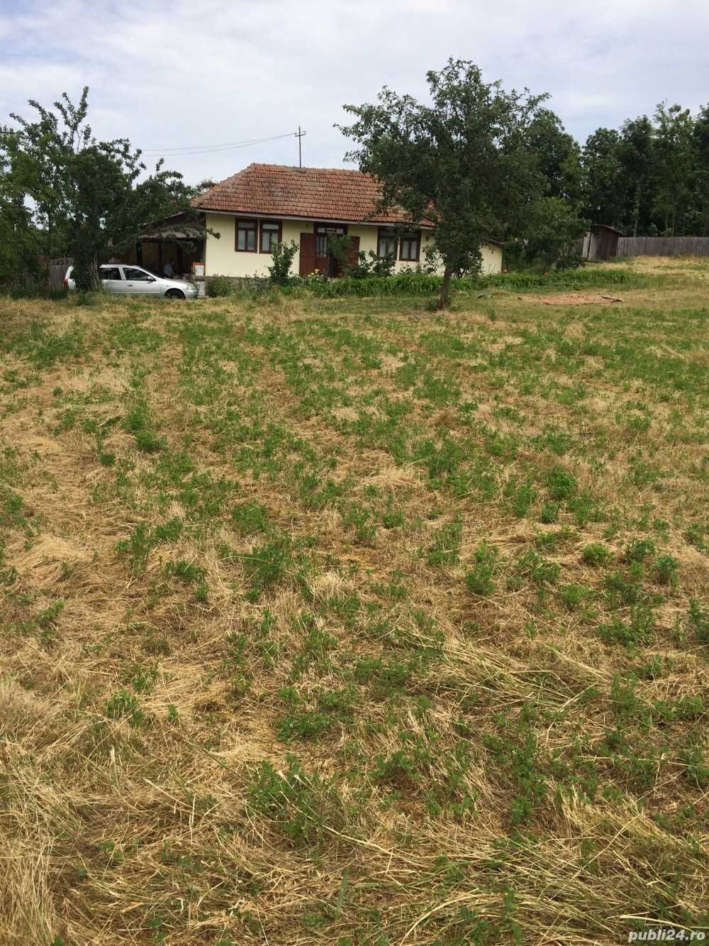 Casa cu 1800 metri 18 km de Vaslui + 4,5 Ha arabil si pasune