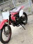 Vand cross 250cc