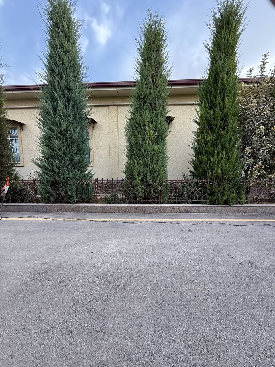 Landshaft xizmatlari archa kesish