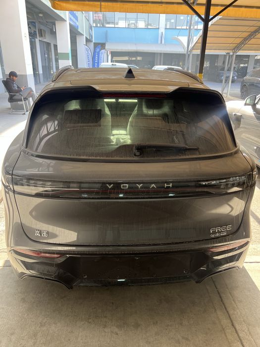 Voyah free apollo tech 318