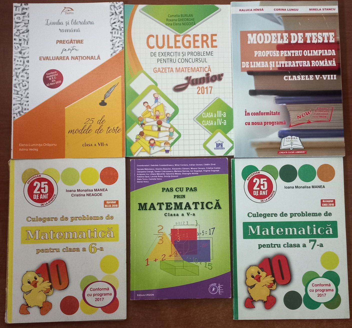 Culegeri diverse si caiete de lucru