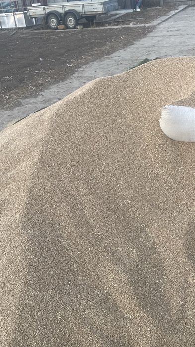 Зерно чистое по мешкам