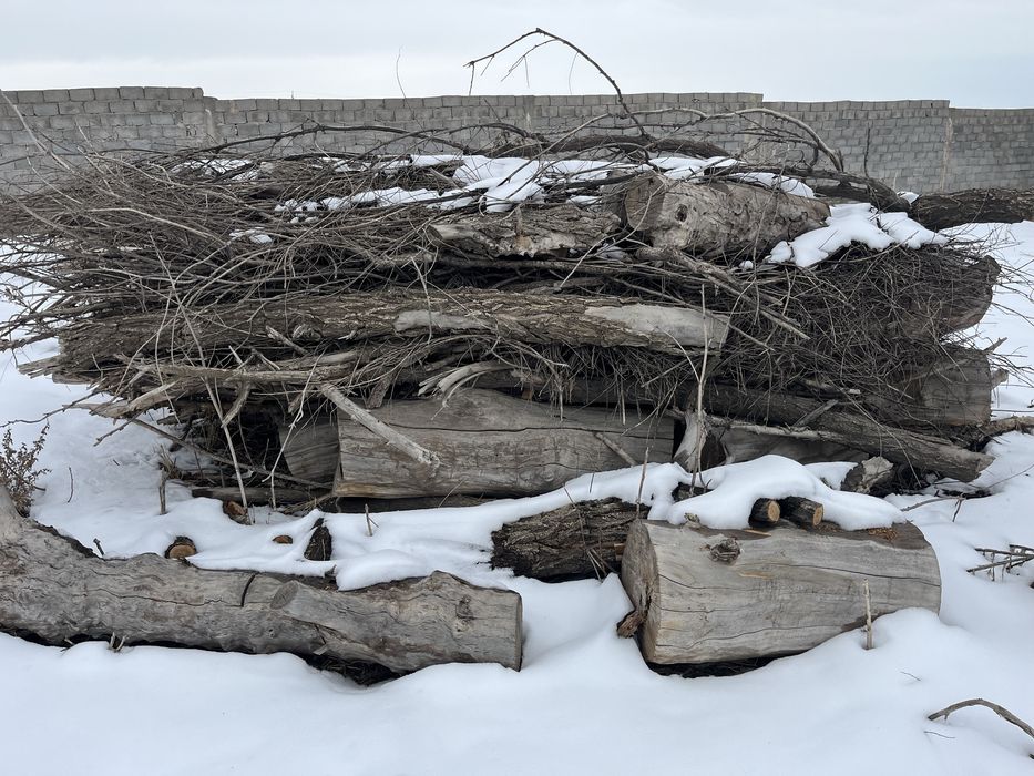 Драва пр ся Отын