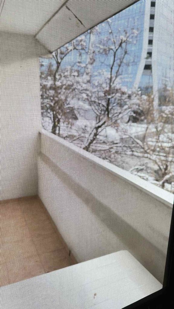 Дава се под наем Тристаен апартамент в София, Дианабад - 80 кв.м за 663 € - Снимка #12