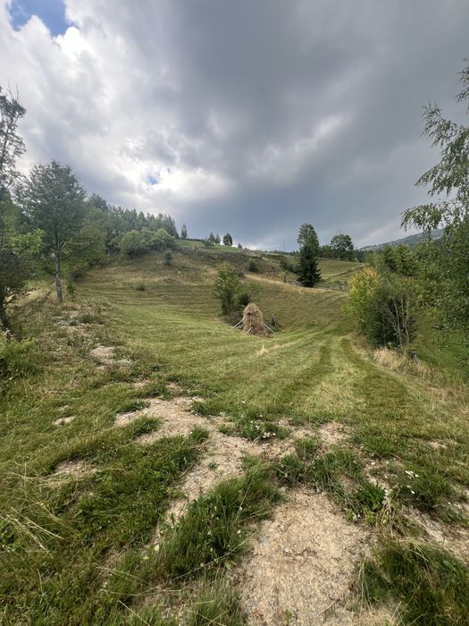 Vând teren în satul Baba, comuna Horea