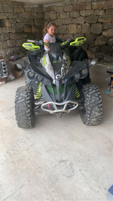 Can am renegade 1000