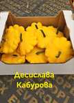 Тикви от с. Мало Конаре