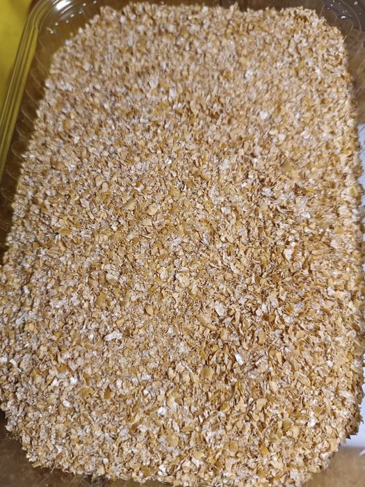 Отруби пешеничные