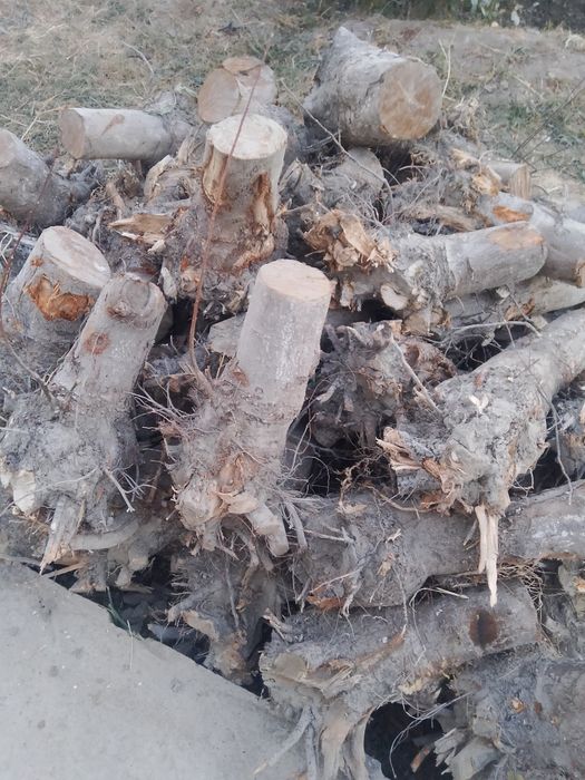 утин сотилади.  .