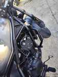 Honda Rebel 500cmx 2024
