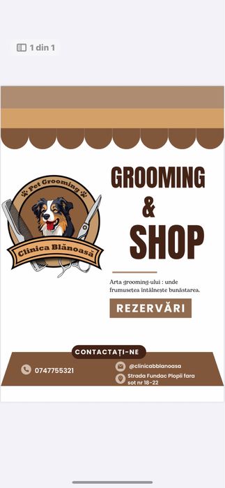 Frizerie canina / infrumusetare canina / grooming catei