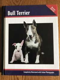 Carte Bull Terrier