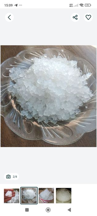 Индийский морской рис