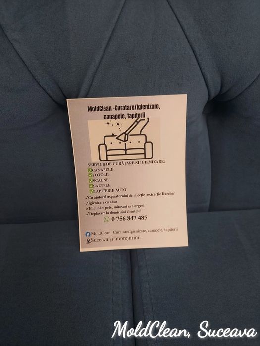 Servicii de Curățare/Igienizare -Canapele, scaune, fotolii, tapiterii