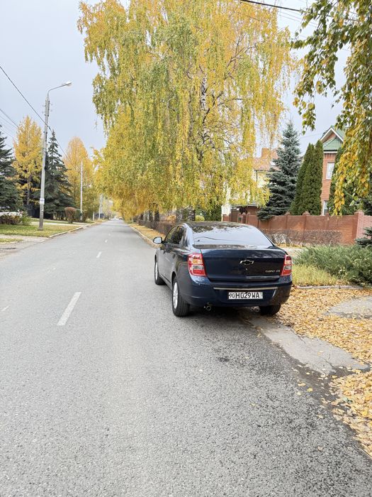 Собалт стайил 2024