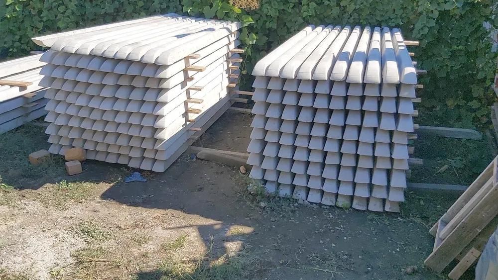 Spalieri de gard / vie