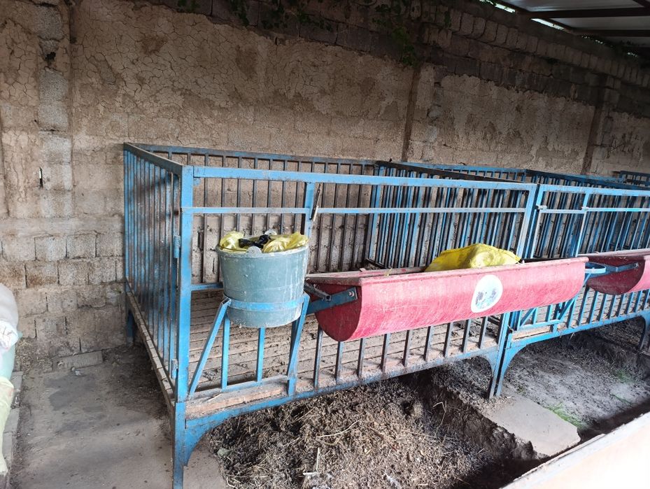 Qoʻylaga qoʻyxona bu