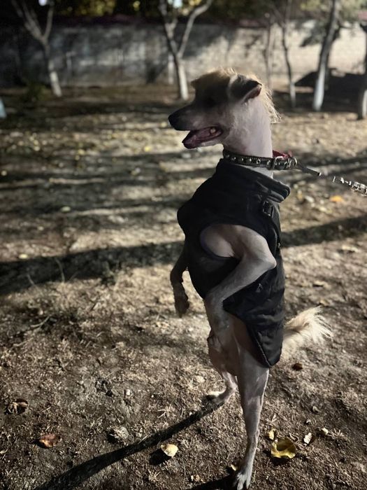 Отдаём в хорошие руки